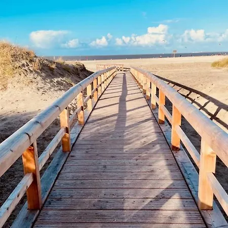 Kegelrobbe By Interhome