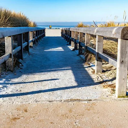 Kegelrobbe By Interhome Norddeich (Norden)