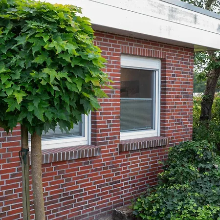 Ferienhaus Kegelrobbe By Interhome *