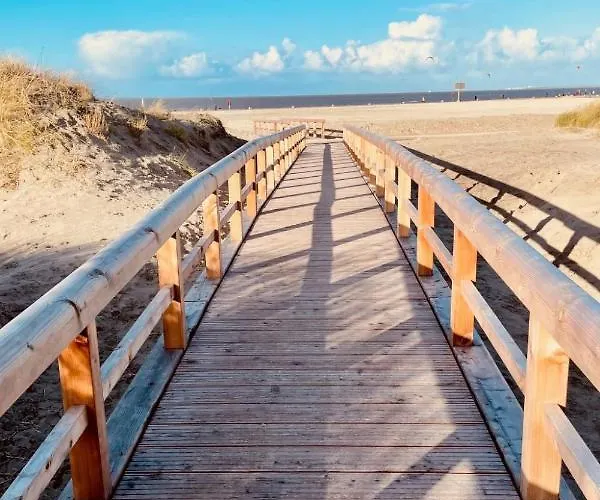 Kegelrobbe By Interhome