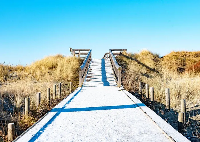 Kegelrobbe By Interhome Tatil Evi